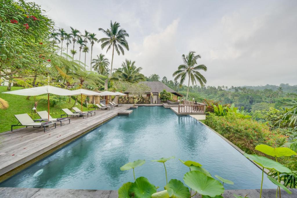 a pool at the resort with chairs and umbrellas at Awan Putih Resort Ubud in Payangan