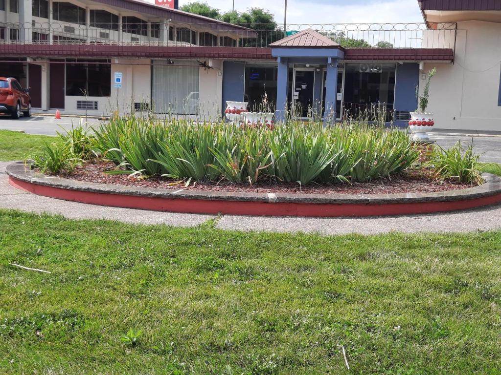 Zahrada ubytování Americas Best Value Inn Moline