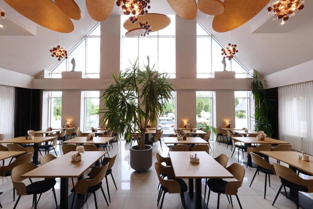 Hotel Junior - Bezplatny Parking - Resim 4