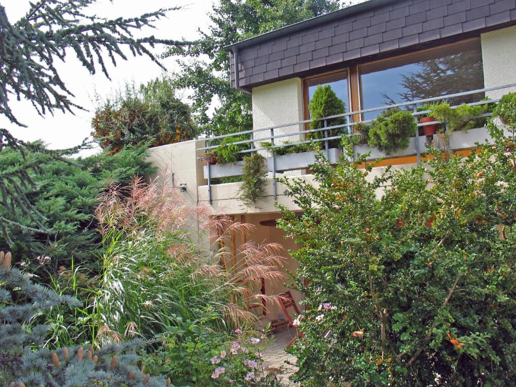 Zahrada ubytování B&B Hersberg