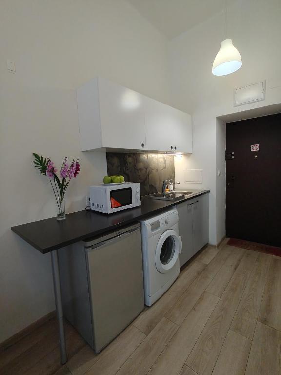Kuchyňa alebo kuchynka v ubytovaní City Center Studio Apartments