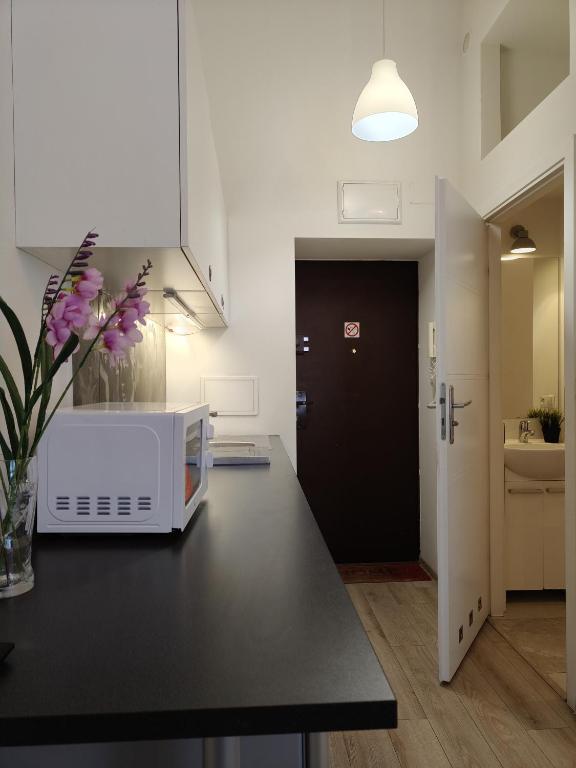 Kuchyňa alebo kuchynka v ubytovaní City Center Studio Apartments
