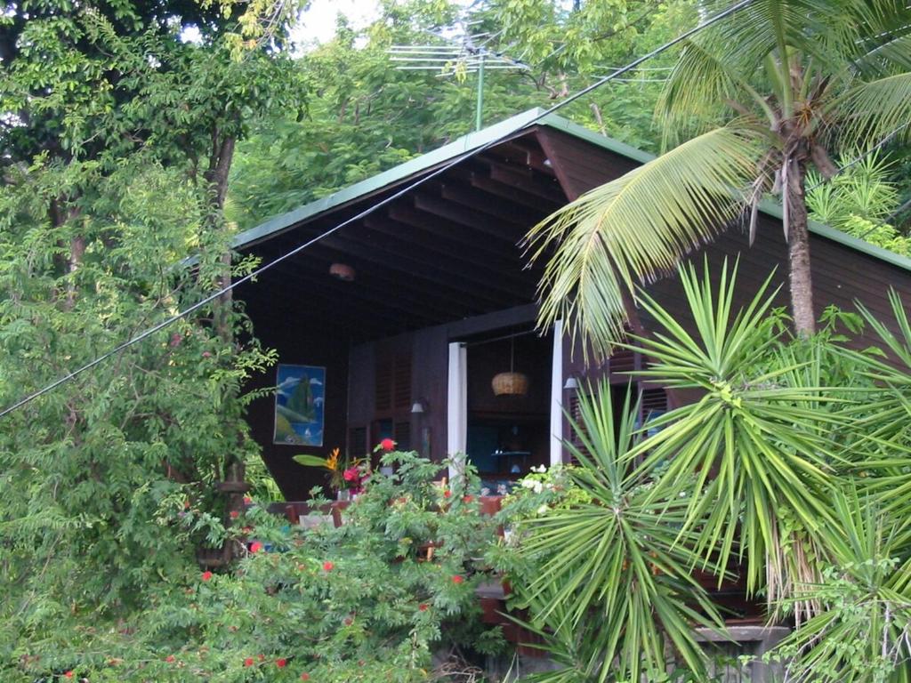Ogród w obiekcie Treehouse Hideaway Villa I - Piton and Ocean Views