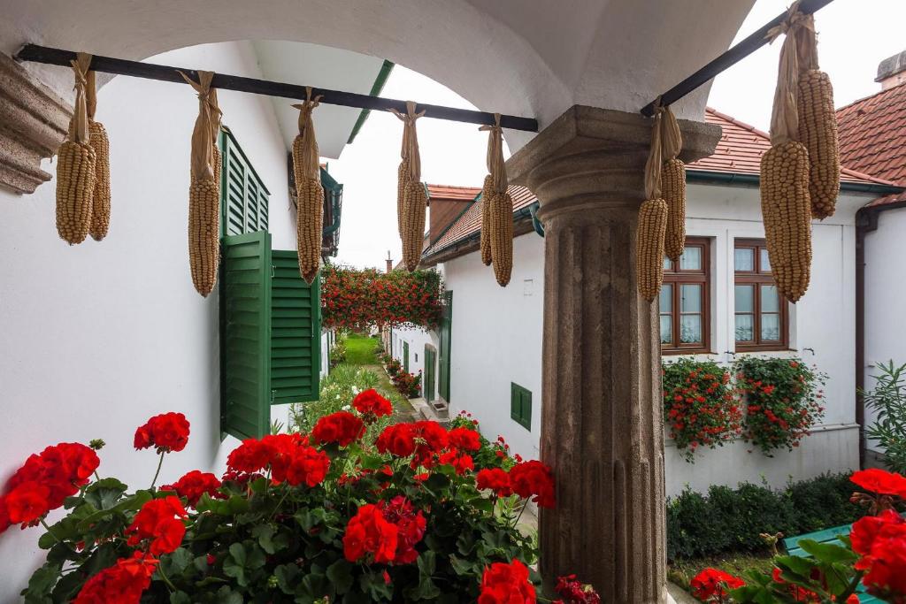 Zahrada ubytování Gästehaus - Doris - Wenzl