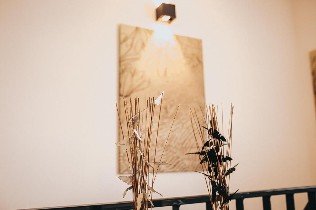 Fotografie z fotogalerie ubytování Apartmány DVĚ BOBULE 1 kk v destinaci Pasohlávky