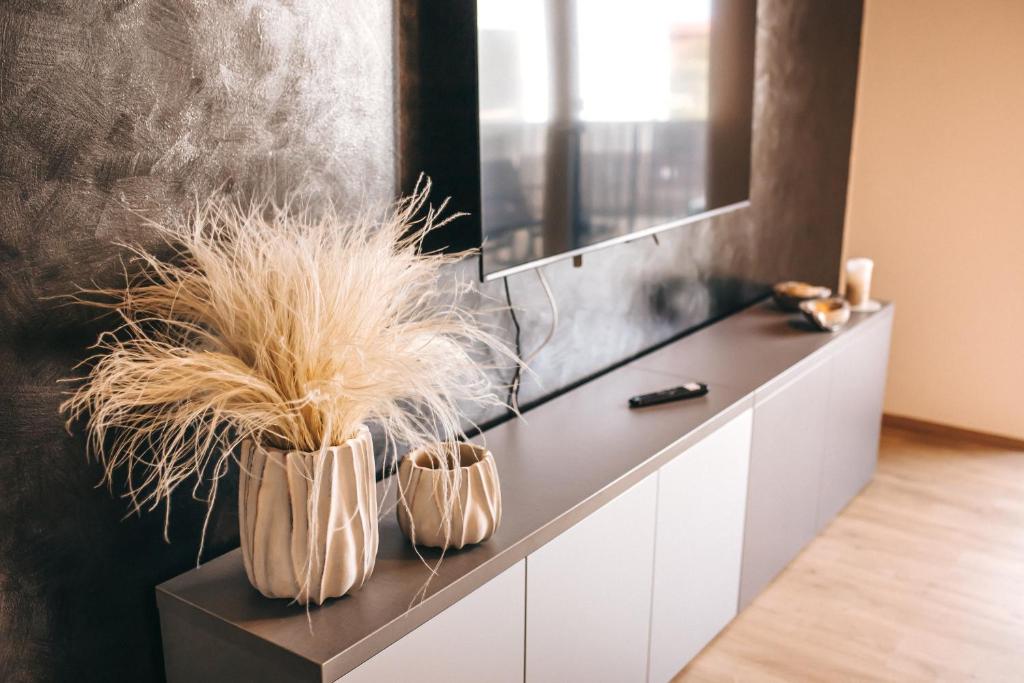 Fotografie z fotogalerie ubytování Apartmány DVĚ BOBULE 1 kk v destinaci Pasohlávky