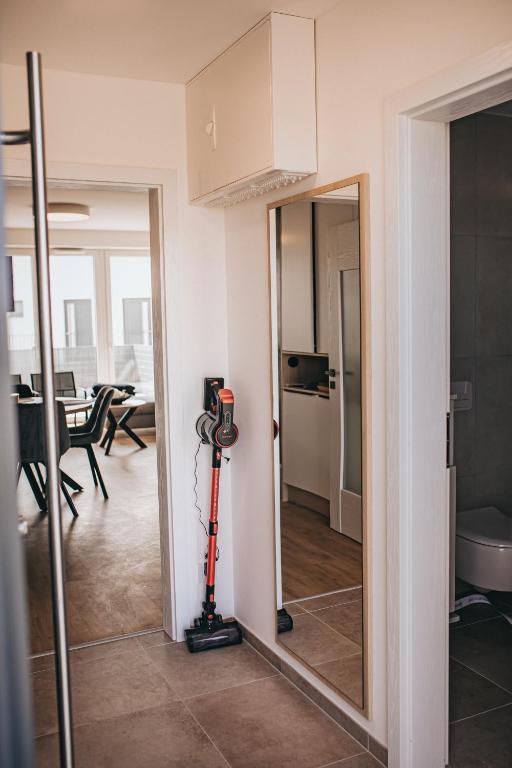 Fitness centrum a/nebo fitness zařízení v ubytování Apartmány DVĚ BOBULE 2KK