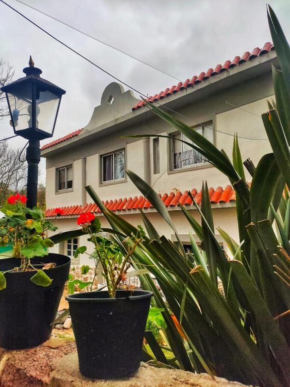 Zahrada ubytování Posada del Arbol