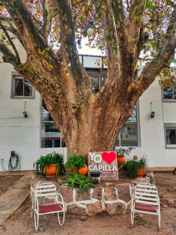 Zahrada ubytování Posada del Arbol