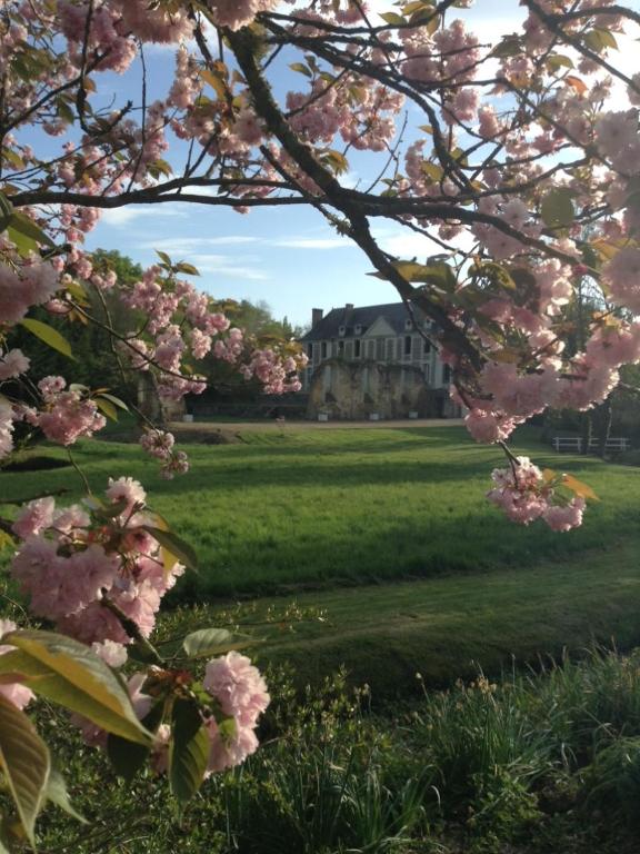 un arbre aux fleurs roses devant une maison dans l'établissement La Maison d'Ambre, à Saint-Laurent-en-Gâtines