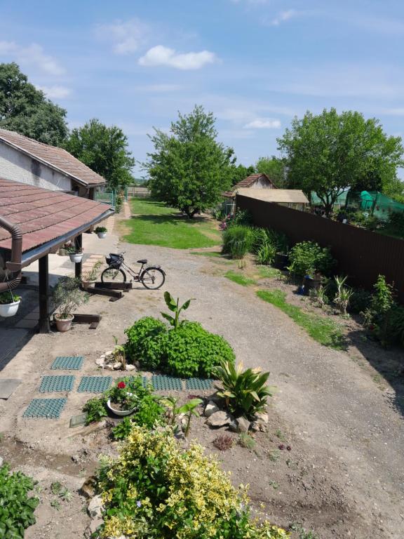 Zahrada ubytování Kék Vándor Vendégház