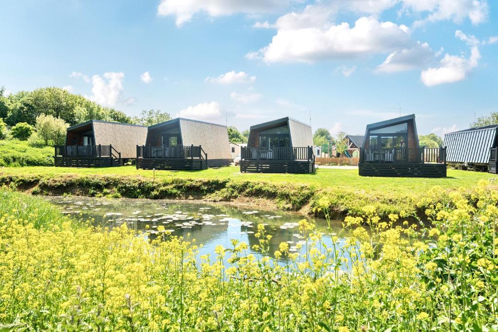 a group of four tents in a field with a creek at Starlight Skylight - Billing Aquadrome in Northampton