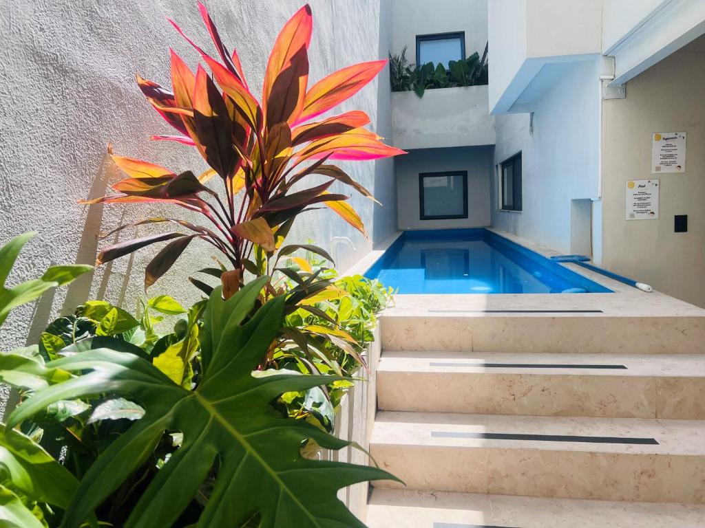 CASA ULA - Cancún - Housity