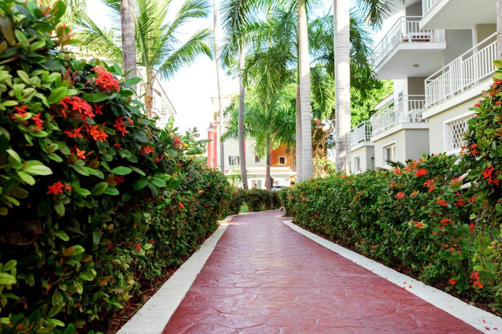 Zahrada ubytování SOL CARIBE SUITES and STUDIOS with TROPICAL POOL - LOS CORALES BEACH