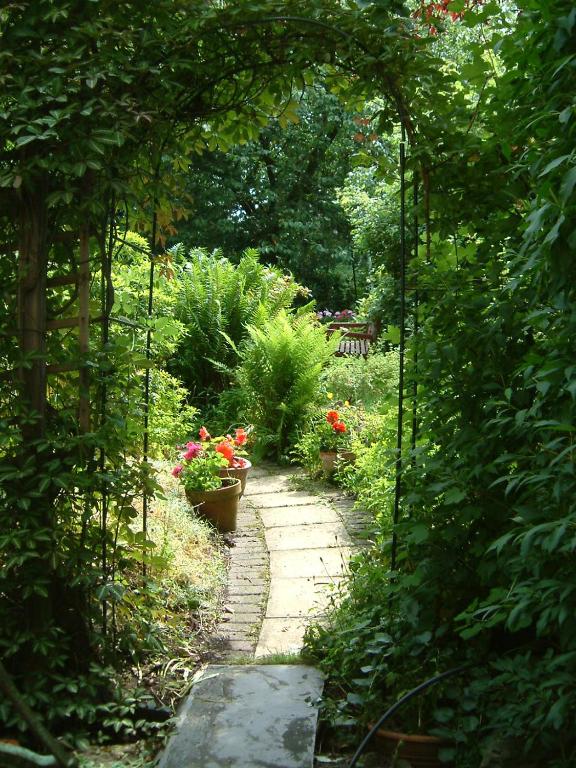 Terrace hotel - Resim 11