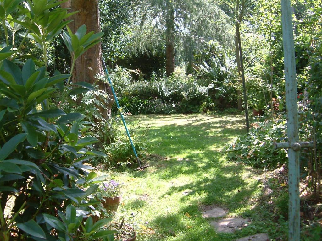 Terrace hotel - Resim 13