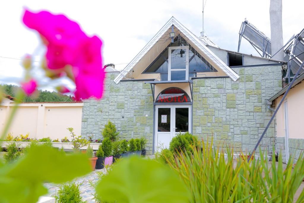 Zahrada ubytování Hostel Shatrata