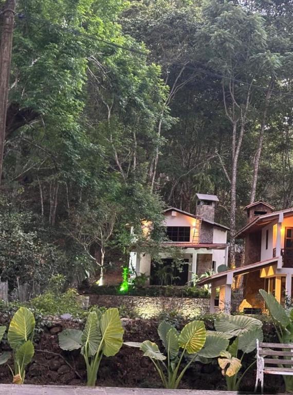 Κήπος έξω από το Villa Plata