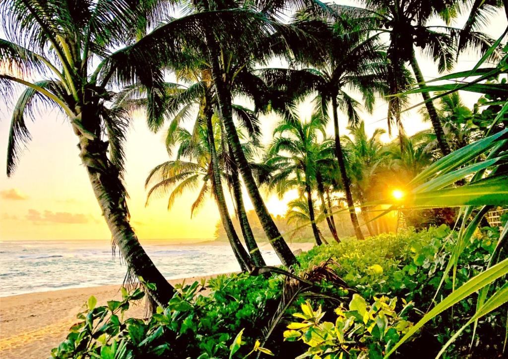 a beach with palm trees and the ocean at sunset at KBM Resorts FREE CAR Islands at Mauna Lani 2-Bedroom Condo with Exclusive Private Beach Club and Sports Club Access IML-E4 in Waikoloa