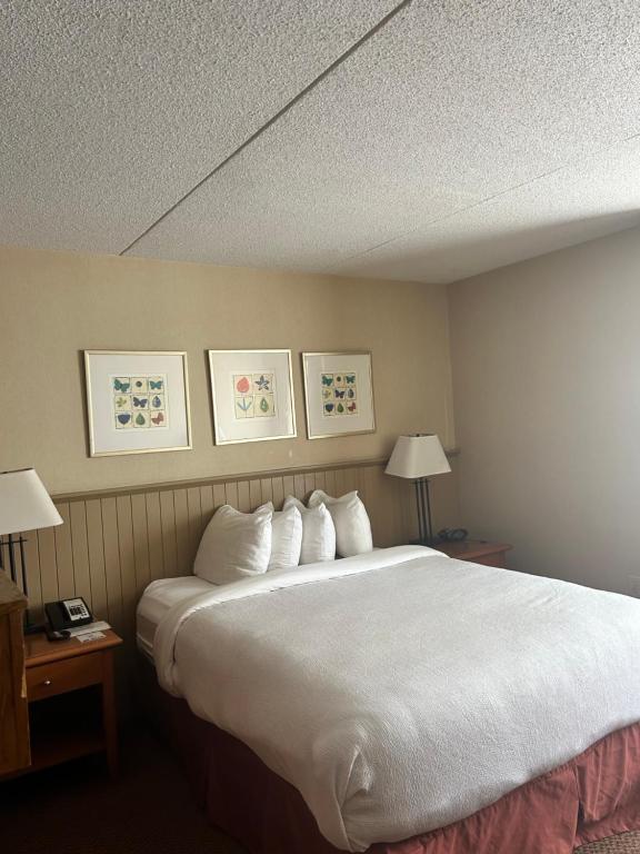 Postel nebo postele na pokoji v ubytování Charlottetown Inn & Conference Centre