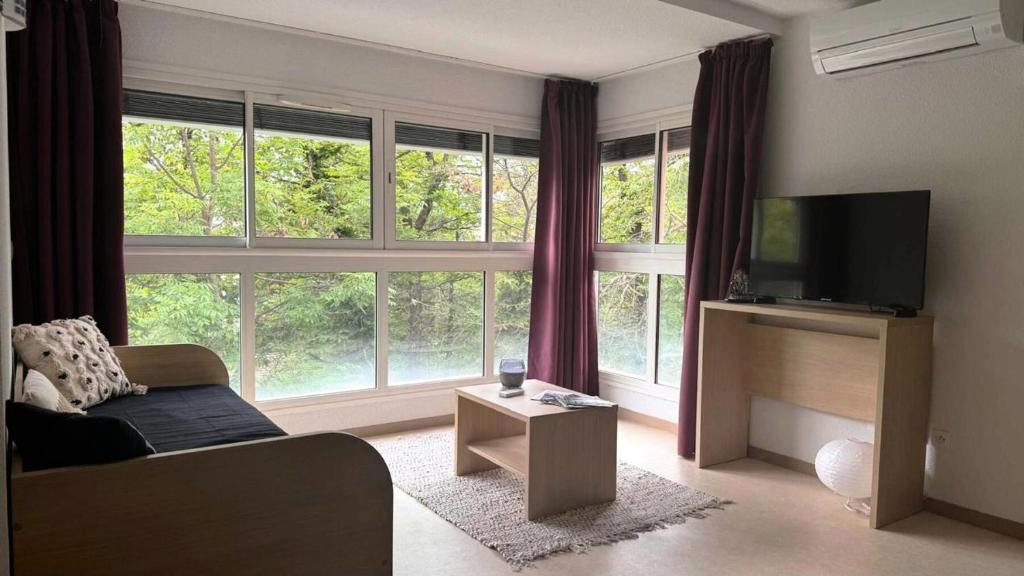 un soggiorno con divano, TV e finestre di Résidence Balcon Du Canigou - T2 dans la résidence Les Balcons du Canigou MAE-2193 a Vernet-les-Bains