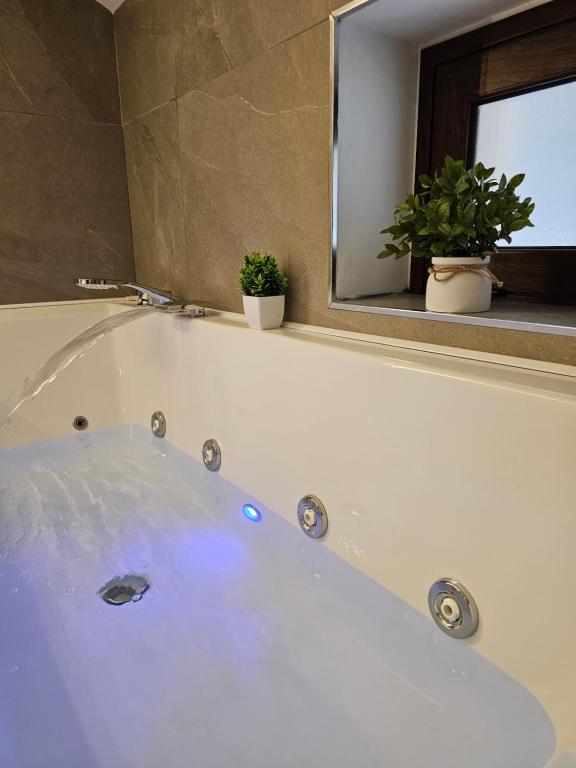 Koupelna v ubytování Aura B&B