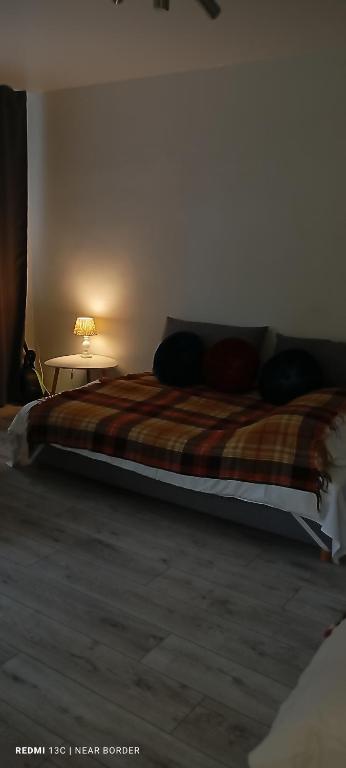Postel nebo postele na pokoji v ubytování A cosy apartment near the border