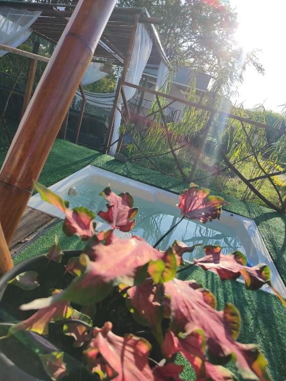 Zahrada ubytování La Villa Glamping
