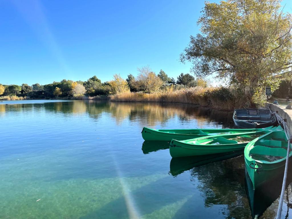 Deux bateaux verts sont amarrés sur un lac dans l'établissement Studio 4 personnes Golf international Pont Royal, à Mallemort