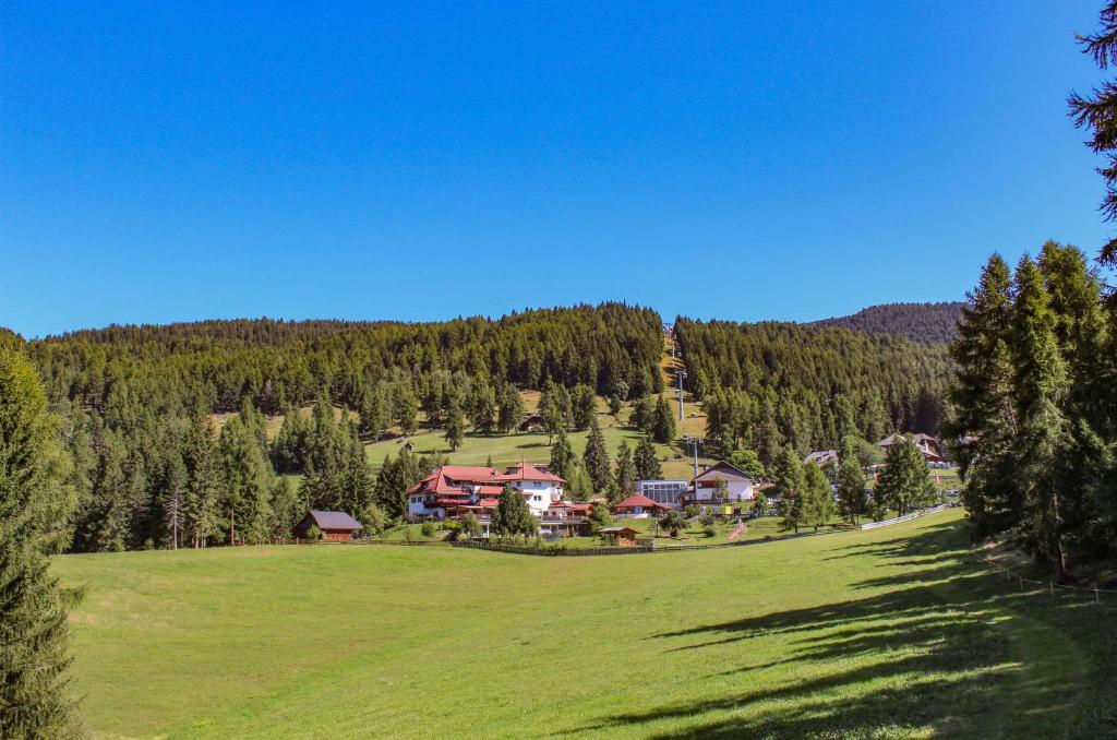 a large green field with a house in the distance at Berghotel zum Zirm in Collalbo