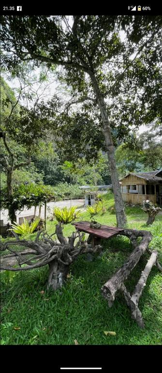 un tavolo da picnic seduto sull'erba accanto a un albero di Tapian Ratu Camp real a Bukittinggi
