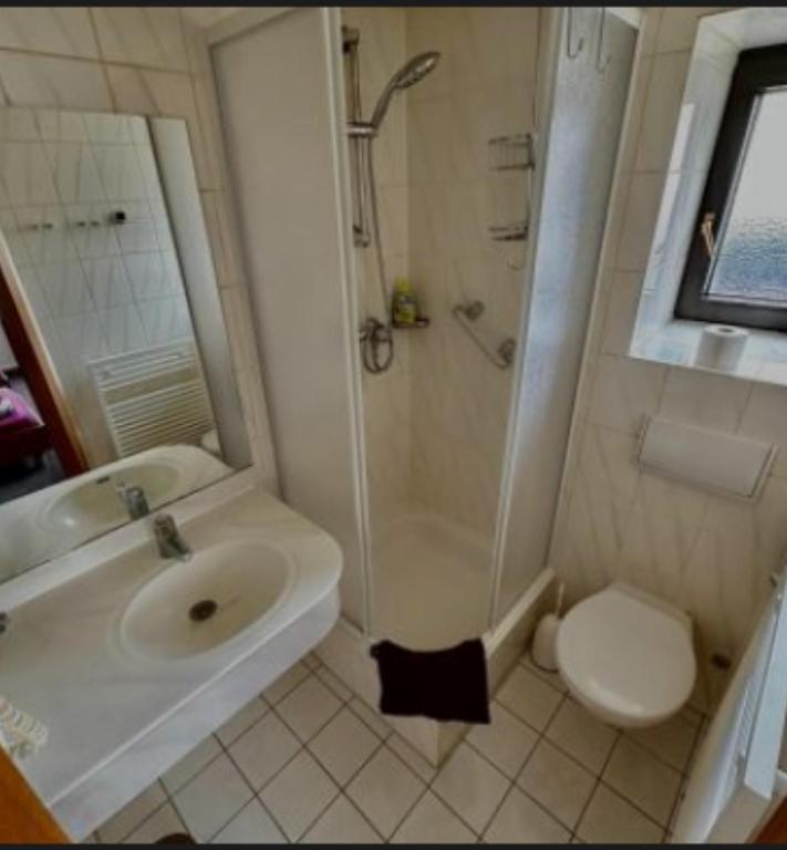 Koupelna v ubytování Hotel Pension Pamina