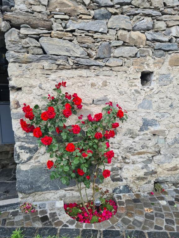 Fotografie z fotogalerie ubytování Rustico 'Casa Lupi' v destinaci Gordola