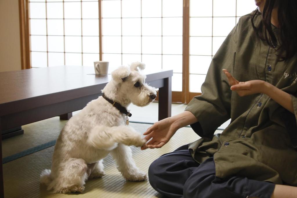 Domácí mazlíčci ubytovaní s hosty v ubytování ゆるり奥日光withDOGS