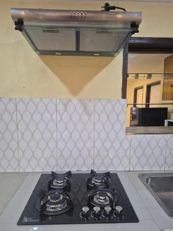 Kuchyň nebo kuchyňský kout v ubytování K&S Apartment
