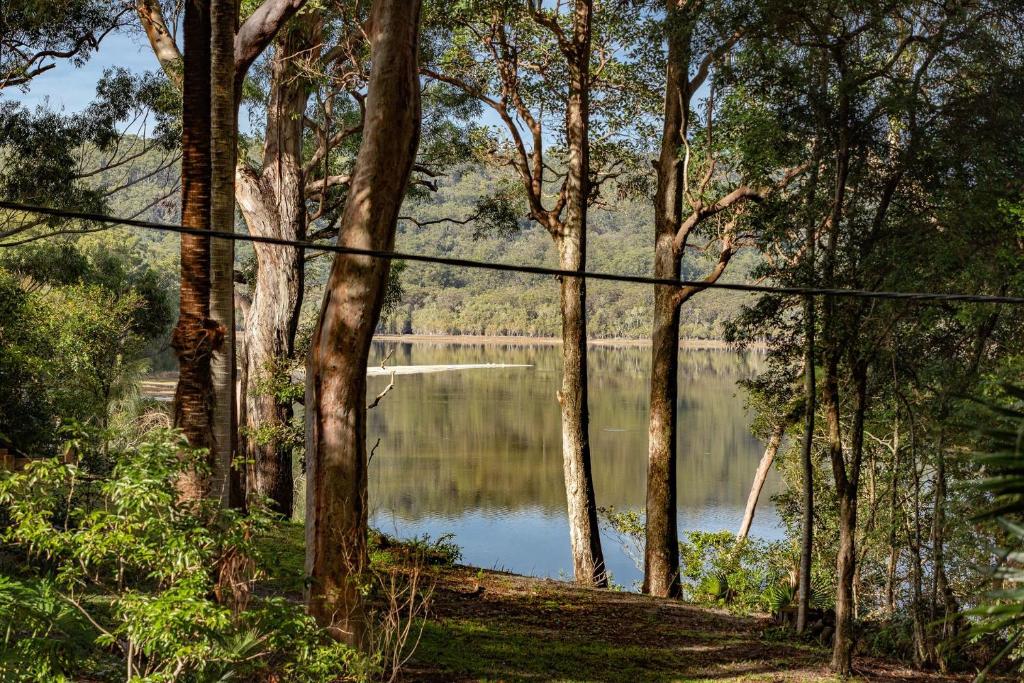 a view of a lake in the middle of a forest at Araluen in Smiths Lake