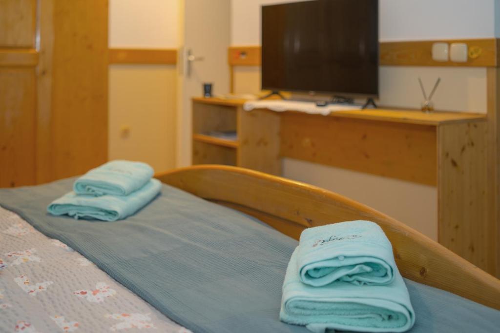 TV a/nebo společenská místnost v ubytování Guesthouse Draga