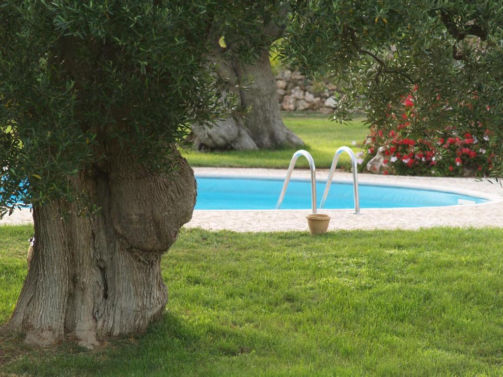 Bazén v ubytování Hotel Masseria Tutosa nebo v jeho okolí