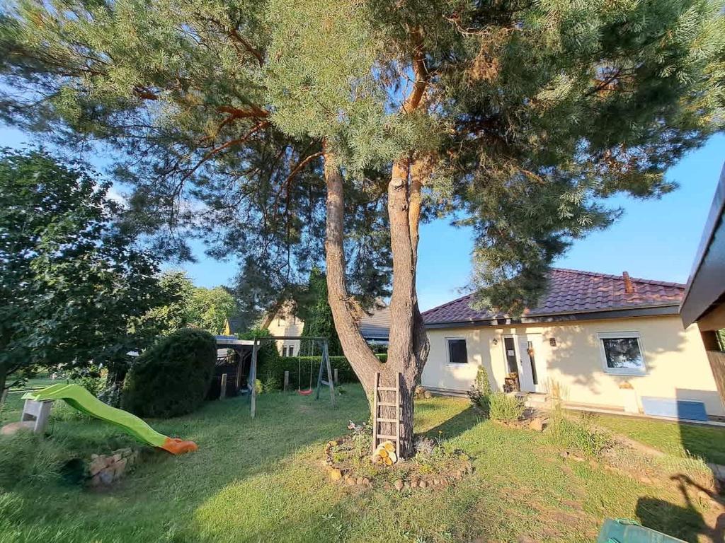 a tree in the yard of a house at Ferienhaus im Gruenen Garten 6P in Rangsdorf