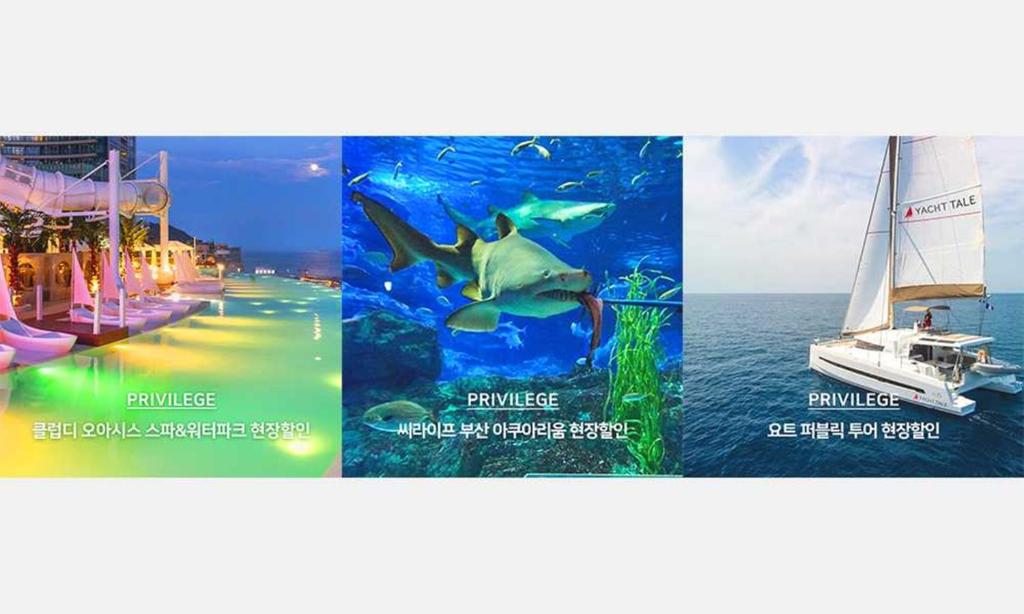 Fotografie z fotogalerie ubytování Busan Yeongmu Parade Hotel Haeundae Beach v destinaci Pusan