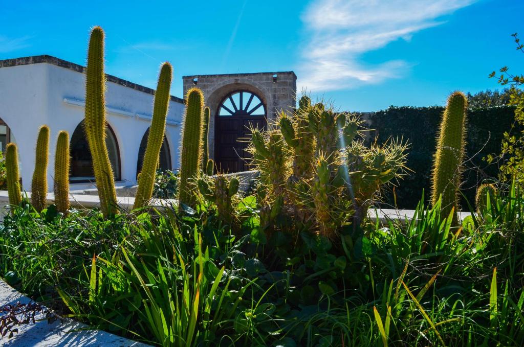 Zahrada ubytování Hotel Masseria Tutosa