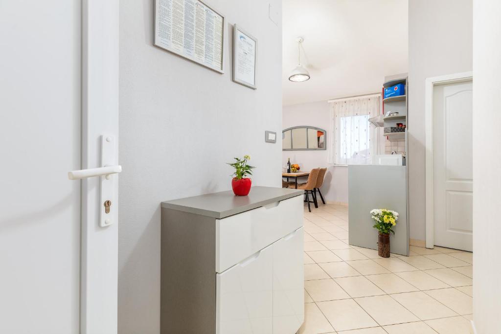 Kuchnia lub aneks kuchenny w obiekcie Apartments Ana-Maria