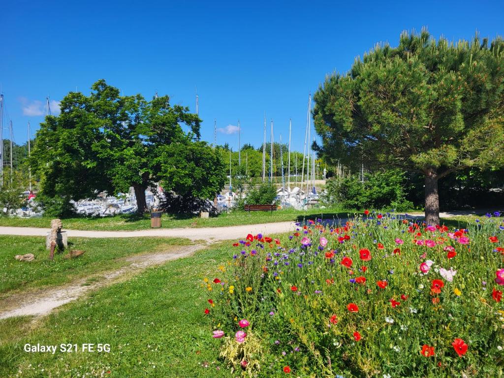 a woman walking through a park with flowers at Le grenier a sel in Marennes