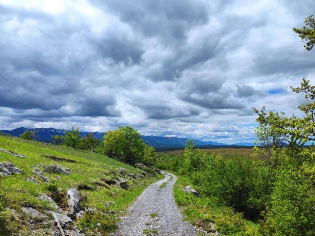 Príroda v okolí dovolenkového domu