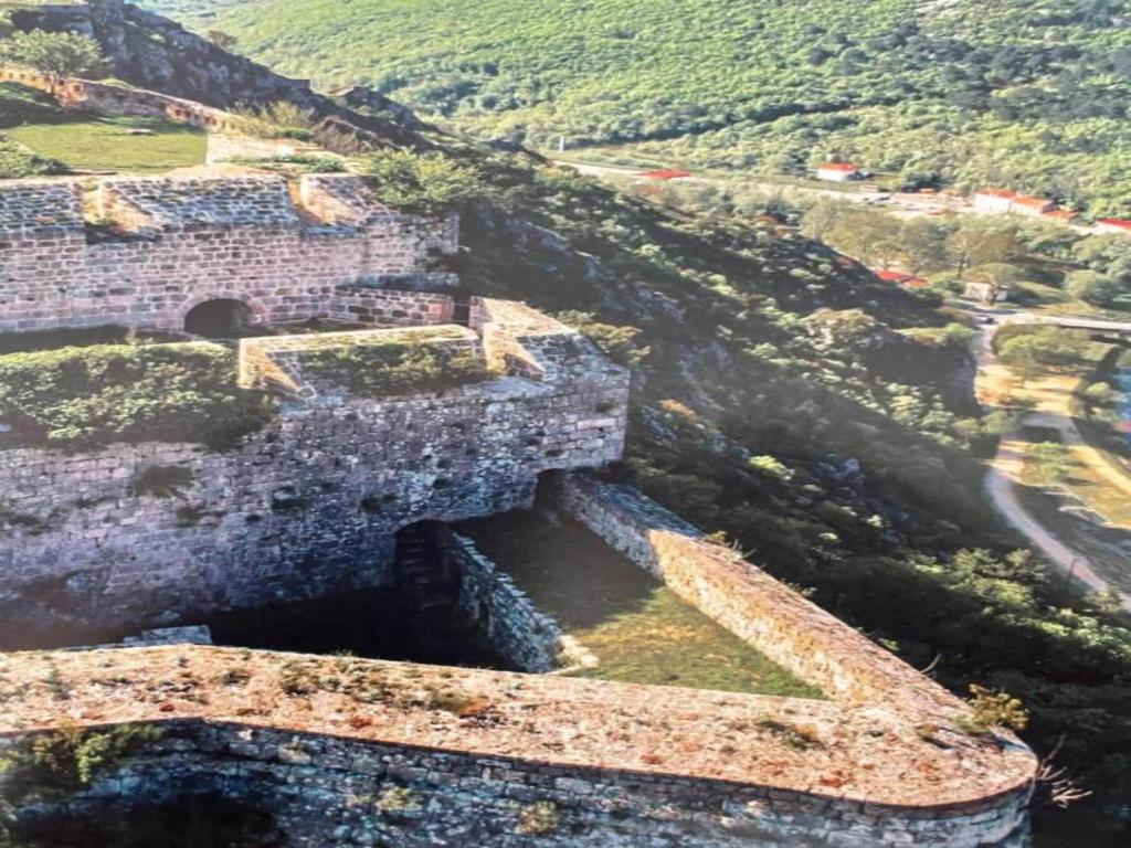 Příroda nedaleko apartmánu