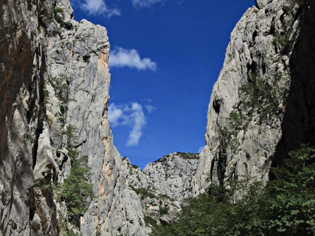 Príroda v okolí apartmánu