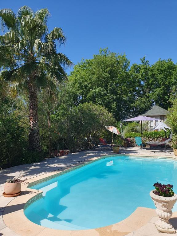 une grande piscine bleue avec un palmier dans l'établissement Terrasse, Piscine privée & Charme provençal, à Tourrettes-sur-Loup