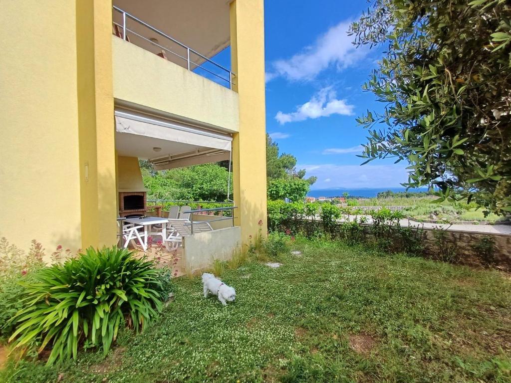 Fotografia z galérie ubytovania Cozy Apartment Mediterraneo v destinácii Krk