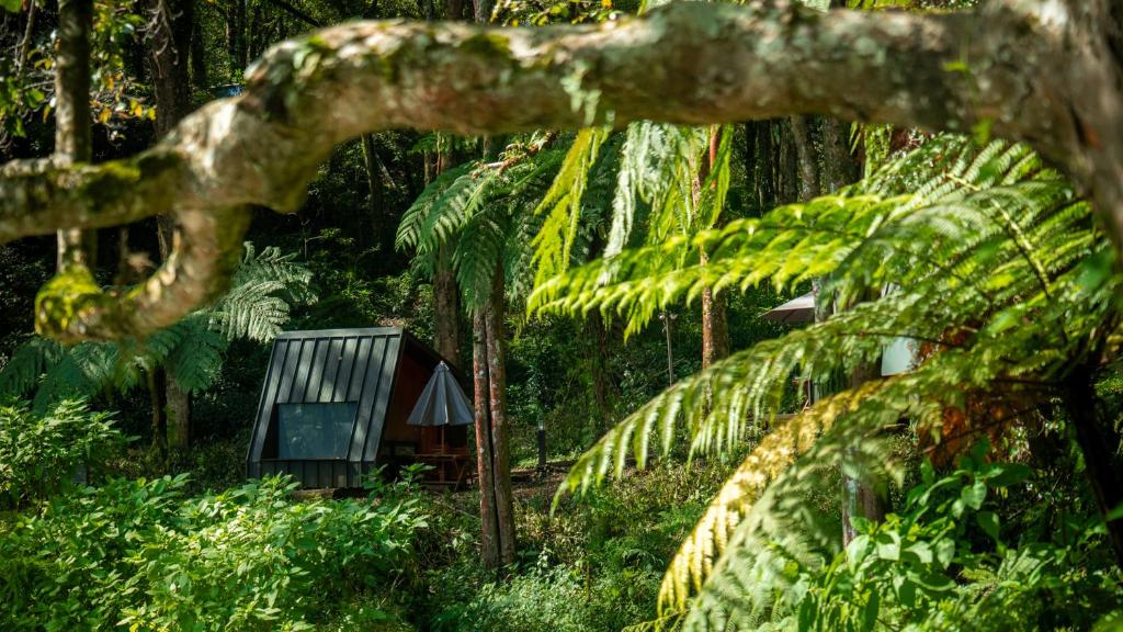 Zahrada ubytování Bobocabin Ranca Upas, Bandung