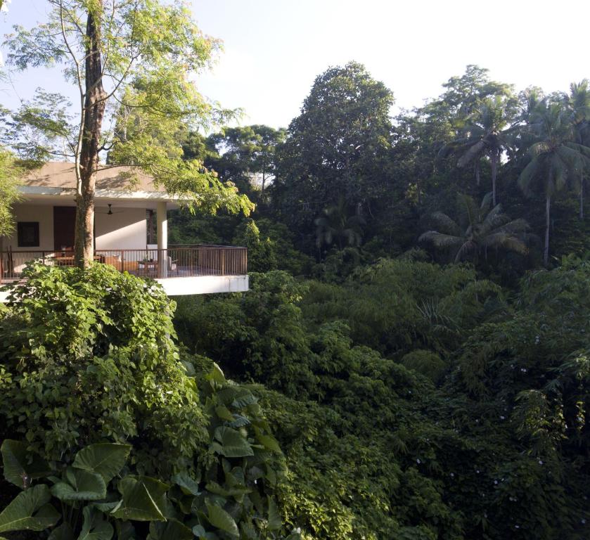 Zahrada ubytování Alila Ubud